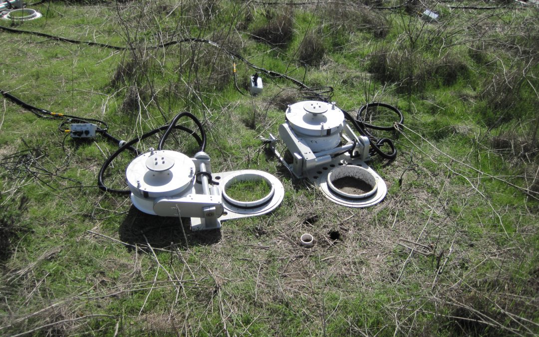 Altered C cycling under exotic annual plant species in a coastal sage scrub ecosystem