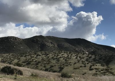 Mountain with scrub in foreground, dramatic sky above