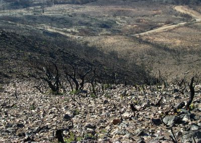 burned, rocky hillside