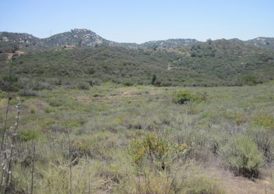 Shrubby landscape with hills in background, square wooden structures amongst vegetation