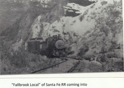 Historical black and white image of train in canyon